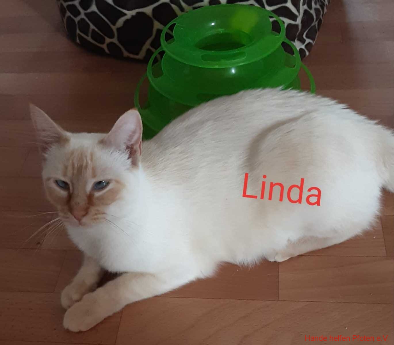 Linda02